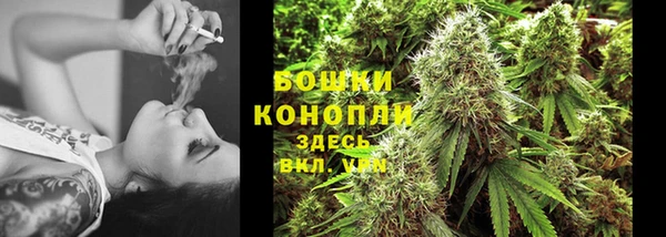 гидра Верея