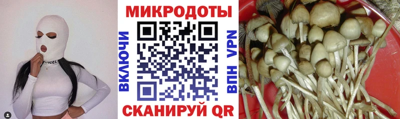 Купить Сафоново Галлюциногенные грибы мухоморы